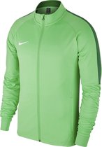 Nike Academy 18  Sportvest - Maat S  - Mannen - groen