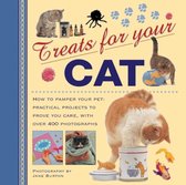 Treats for Your Cat: How to Pamper Your Pet