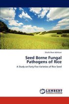 Seed Borne Fungal Pathogens of Rice