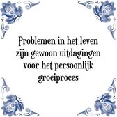 Tegeltje met Spreuk (Tegeltjeswijsheid): Problemen in het leven zijn gewoon uitdagingen voor het persoonlijk groeiproces + Kado verpakking & Plakhanger