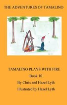 The Adventures of Tamalino: Tamalino Plays with Fire