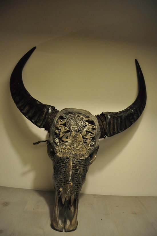 Gegraveerde Echte Waterbuffel schedel | bol.com
