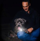 Lampe de sécurité Cadellight pour collier de chien - Animal Light - Bleu
