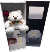 Cadeaudoos met Rode roos + Merci + Witte Knuffelbeer (25 cm)