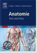 Anatomie