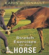 Stretch Exercises For Your Horse