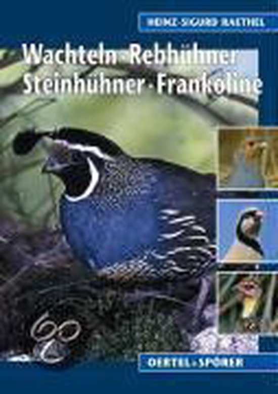 Wachteln, Rebhühner, Steinhühner, Frankoline