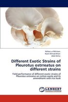 Different Exotic Strains of Pleurotus Ostrreatus on Different Strains
