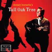 Tall Oak Tree