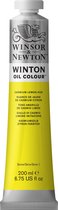 Winsor & Newton Winton Oil Colours 200ml Cadmium Yellow Hue