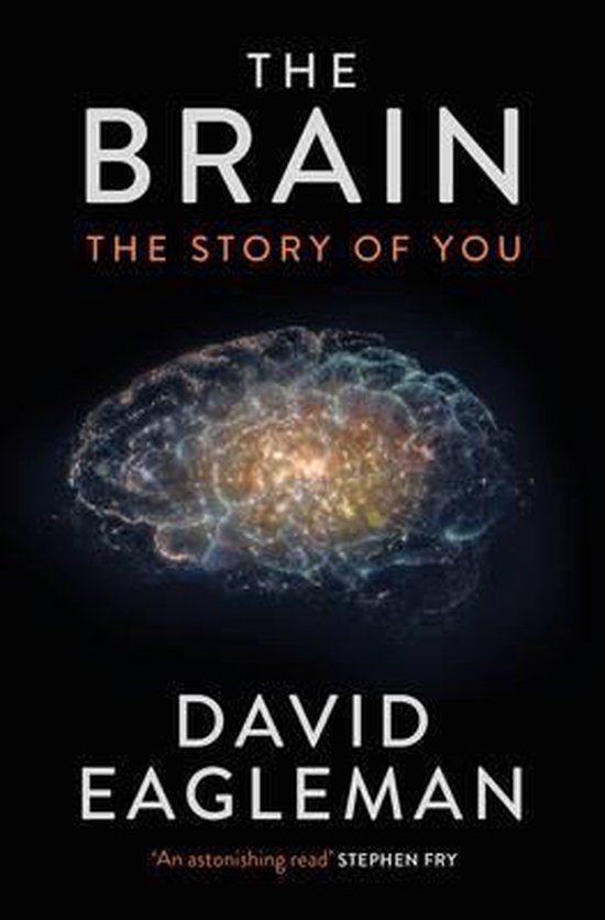 The Brain - cover
