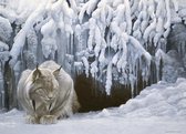 Cobble Hill: Dozing Lynx - Robert Bateman (1000) legpuzzel