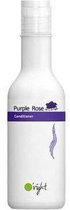 Purple Rose - 100 ml - Conditioner
