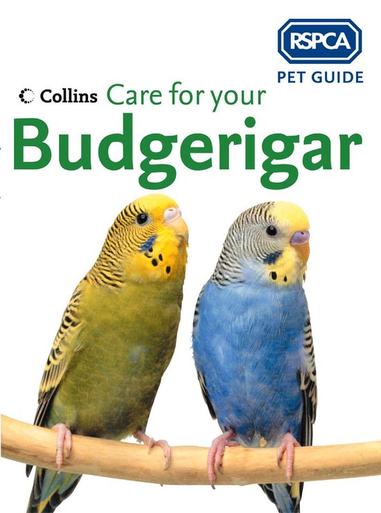 RSPCA Pet Guide - Care for your Budgerigar - cover