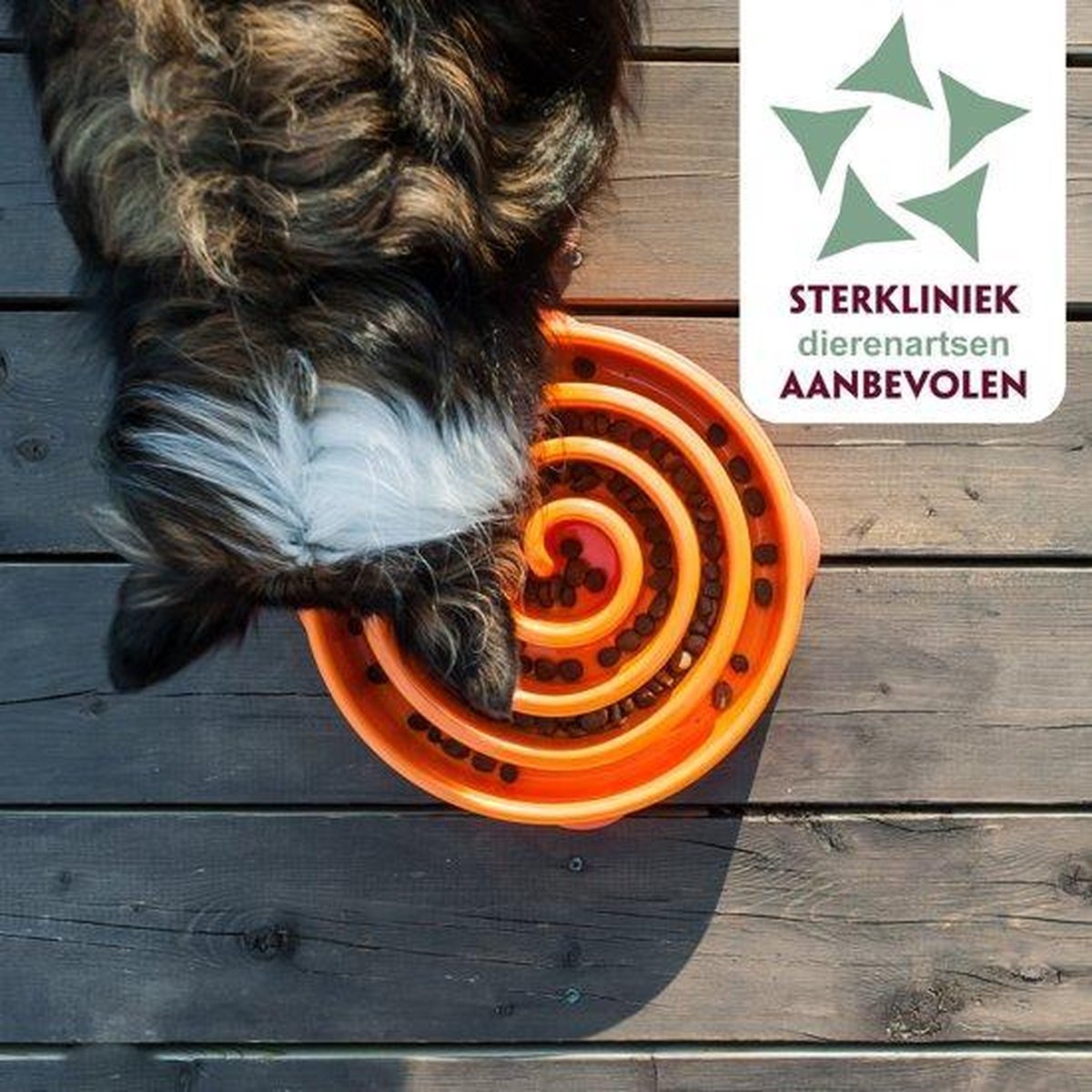 Anti schrok honden voerbak Antischrokbak Slow feeder dog bowl