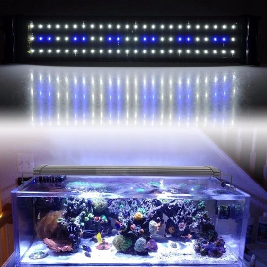 Aquarium bak LED 40cm [45-55cm] 11W 2-standen blauw / wit | bol.com