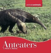 Animals, Animals- Anteaters