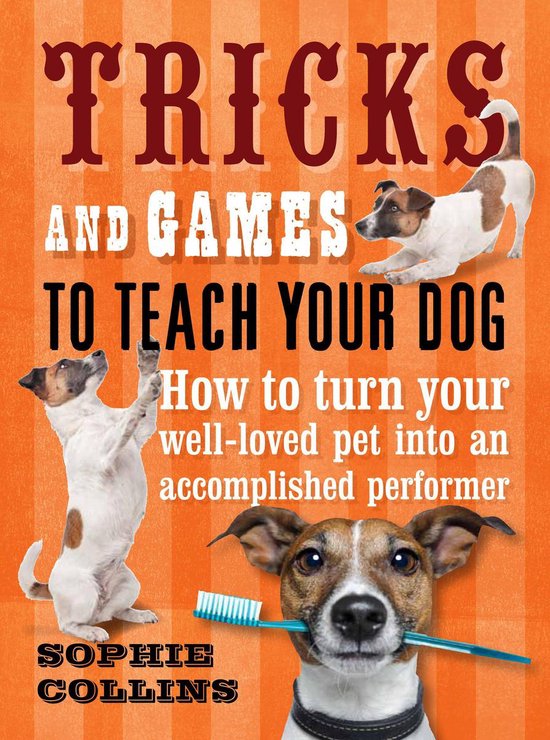 Tricks & Games To Teach Your Dog: How to turn your much love ... - cover