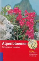 Alpenbloemen Herkennen En Benoemen