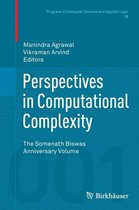 Perspectives in Computational Complexity