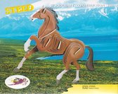 3D Puzzel Bouwpakket Paard - hout - gekleurd