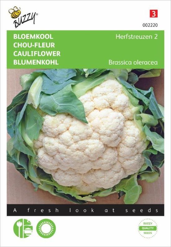 Buzzy® Bloemkool zaden – Herfstreuzen