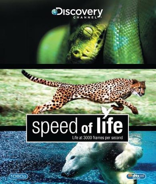 Cover van de film 'Speed Of Life'