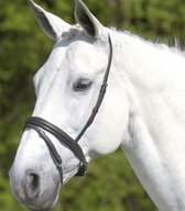 STAR Flash Noseband | Shetlander