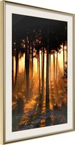 Poster Dark Tree Tops 30x45