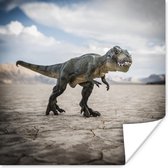 Poster Dinosaurus - Stenen - Zand - 75x75 cm