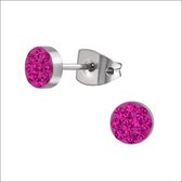 Aramat jewels ® - Titanium oorbellen rond titanium donker roze zilverkleurig 5mm