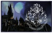 ApolloX vloerkleed Harry Potter junior 40 x 60 cm zwart