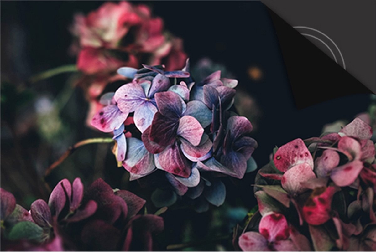 Inductie Beschermer Hortensia print Exclusief 76x51,5cm