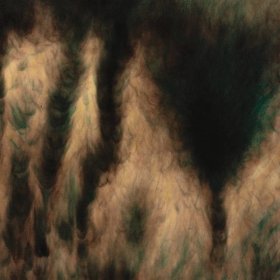 William Basinski - Lamentations (2 LP)