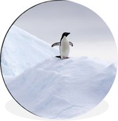 WallCircle - Wandcirkel - Muurcirkel - Pinguïn - IJs - Winter - Aluminium - Dibond - ⌀ 60 cm - Binnen en Buiten