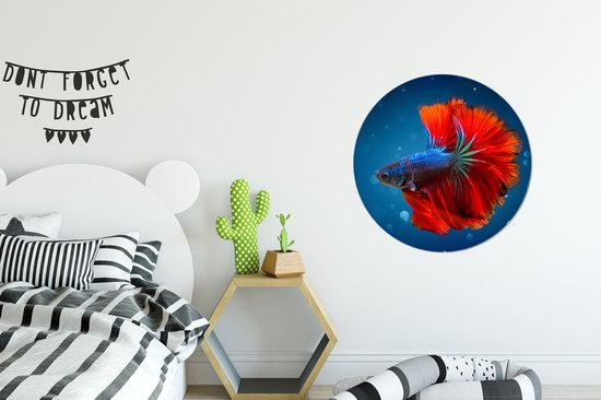 WallCircle - Cercle Mural - Cercle Mural - Poisson - Water - Rouge - Aluminium - Dibond - 60x60 cm - Intérieur et Extérieur