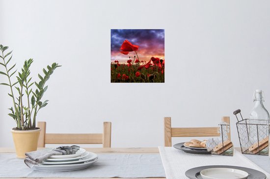 Stickers muraux - Film autocollant - Coquelicot - Champ de fleurs - Rouge - 30x30 cm - Film adhésif - Stickers muraux Chambre d'enfant - Papier peint autocollant