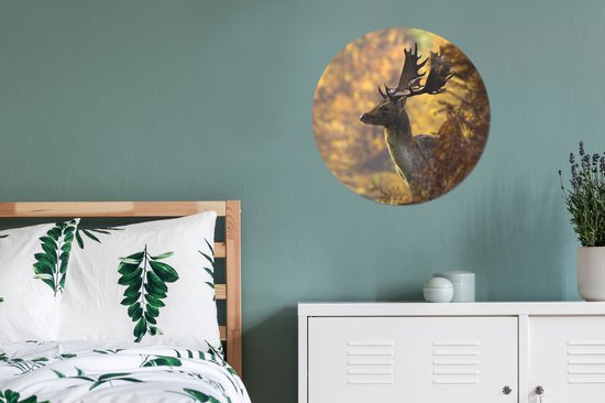 Cercle Mural - Cercle Mural Intérieur - Cerf - Bois - Automne - ⌀ 60 cm - Décoration murale - Peintures Ronds