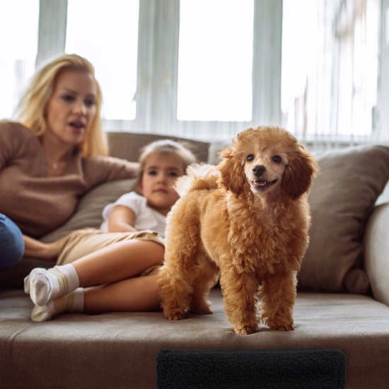Hondentrap 3 tredes - voor bank - kleine honden - 30 cm - zwart