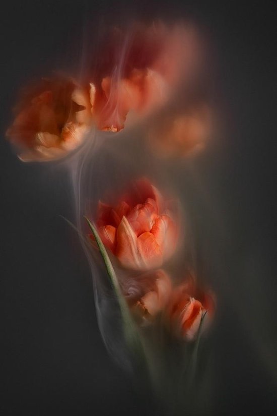 Smoking flowers - Fotokunst op Plexiglas - Incl. blind ophangsysteem en 5 jaar garantie