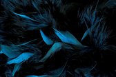 Dark Feathers – 90cm x 60cm - Plexiglas schilderij wanddecoratie veren