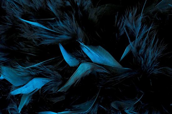 Dark Feathers – 90cm x 60cm - Plexiglas schilderij wanddecoratie veren