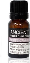 Etherische olie Witte Kamfer - 10ml - Essentiële Oliën Aromatherapie