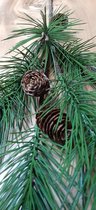 Winter tak Pinus groot 124cm