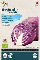 Buzzy® Organic Klimaro F1 (BIO) - graines de légumes biologiques