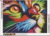 Diamond painting - kat - kleuren - ronde steentjes - 50 x 40 - creatief