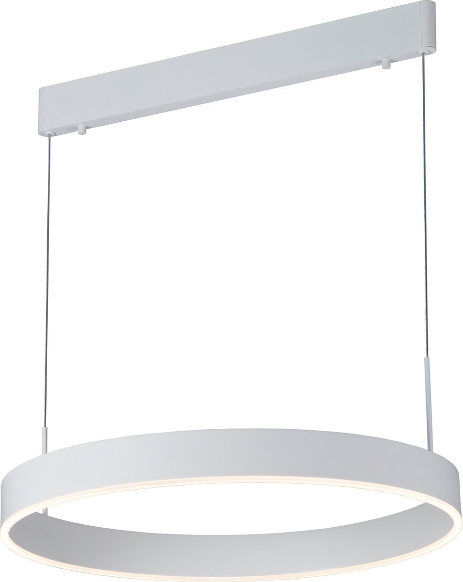 PURE LED pendel rond D60 22W wit