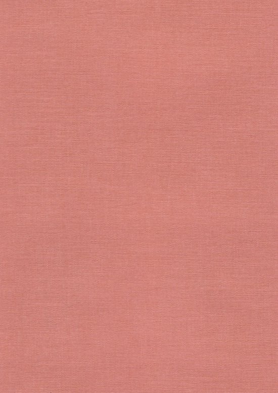 Elisabeth van Aalderen Shades of Pale Boek Celebrating the