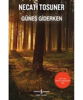 Günes Giderken