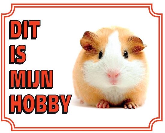 Waakbord cavia